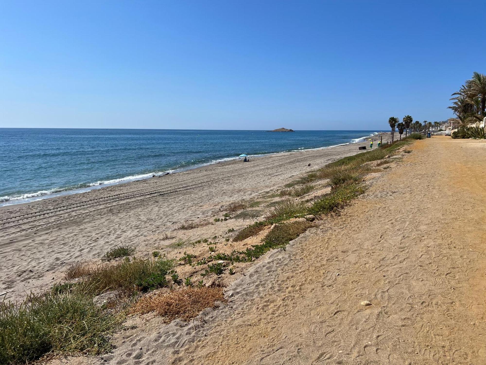 Ancon Chalé *
